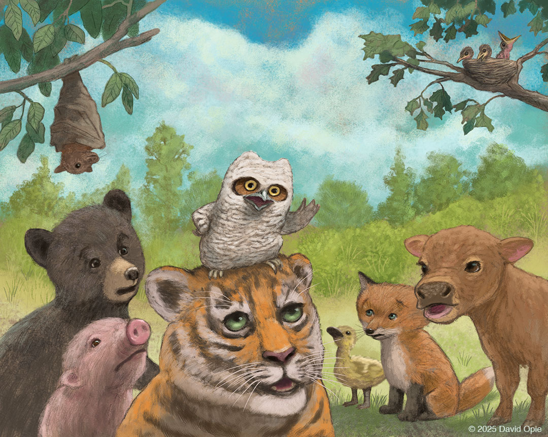 Owlet, This Is Not Your Book